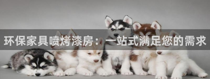 usdt为何冻结：环保家具喷烤漆房：一站式满足您的需求