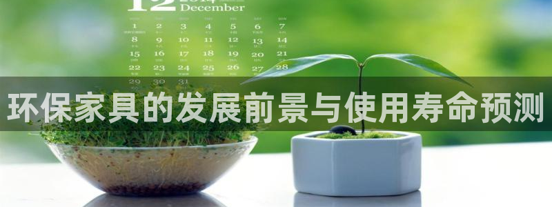 usdt 怎么用：环保家具的发展前景与使用寿命预测
