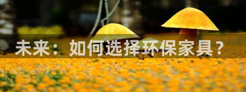 usdt钱包p图：未来：如何选择环保家具？