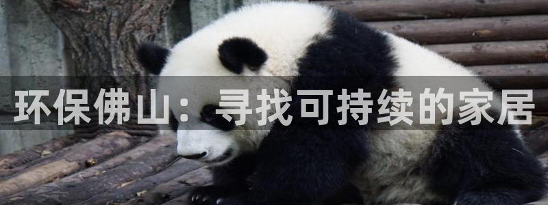 苹果怎么下载usdt：环保佛山：寻找可持续的家居