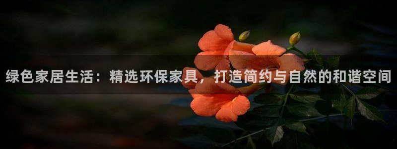 usdt如何提币：绿色家居生活：精选环保家具，打造简约与自然