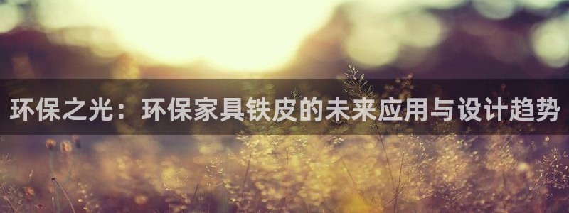 usdt兑换bnb：环保之光：环保家具铁皮的未来应用与设计趋