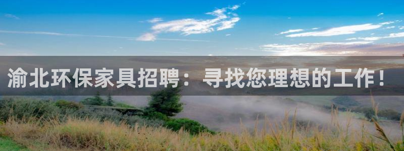 怎么提usdt到钱包：渝北环保家具招聘：寻找您理想的工作！