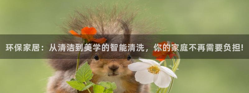 usdt买币冻结：环保家居：从清洁到美学的智能清洗，你的家庭