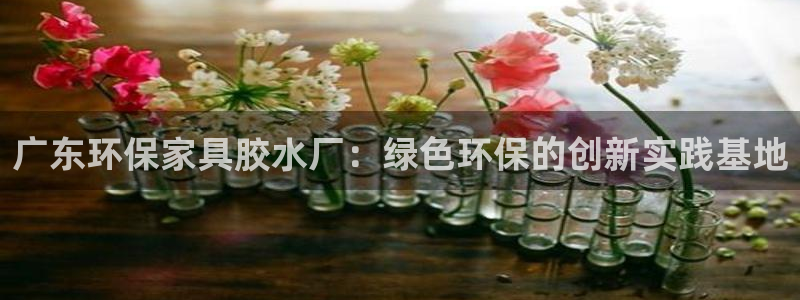usdt怎么绑定银行卡：广东环保家具胶水厂：绿色环保的创新实