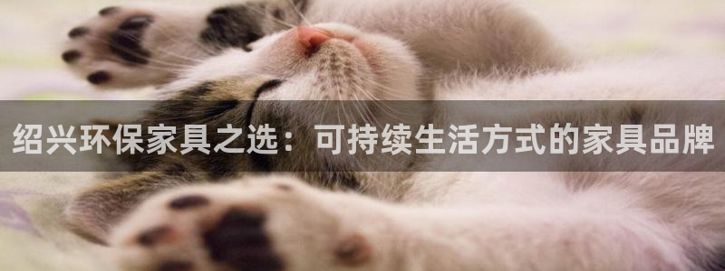 USDT下载教程：绍兴环保家具之选：可持续生活方式的家具品牌