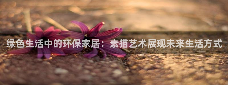 usdt钱包转账最小金额：绿色生活中的环保家居：素描艺术展现