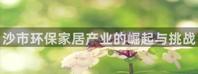 可以存usdt的钱包：沙市环保家居产业的崛起与挑战