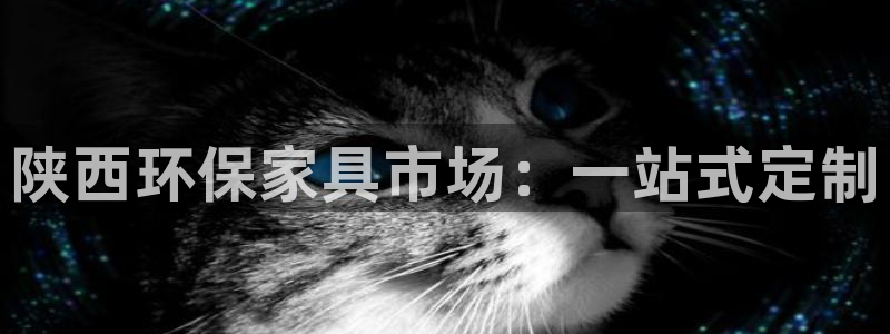 usdt交易能查到对方信息吗：陕西环保家具市场：一站式定制