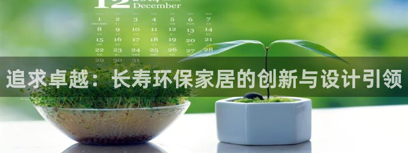 usdty：追求卓越：长寿环保家居的创新与设计引领