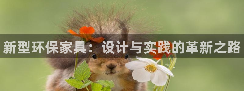 usdt被盗警察会管吗?：新型环保家具：设计与实践的革新之路
