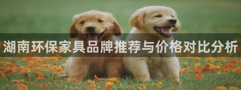 usdt充值二维码怎么用：湖南环保家具品牌推荐与价格对比分析