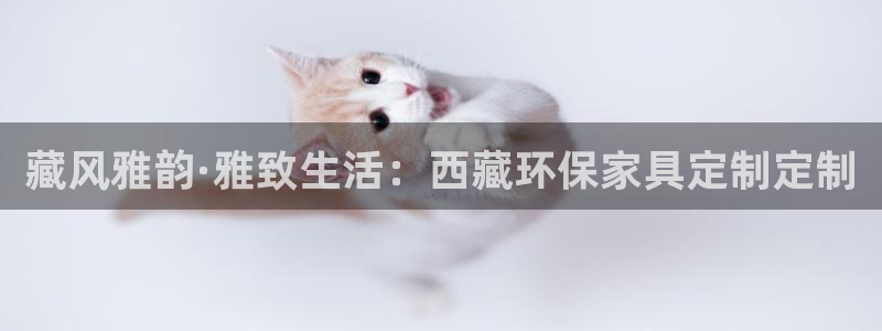usdt账号注册：藏风雅韵·雅致生活：西藏环保家具定制定制