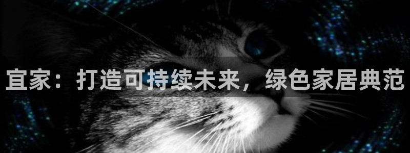 usdt怎么换成人名币：宜家：打造可持续未来，绿色家居典范